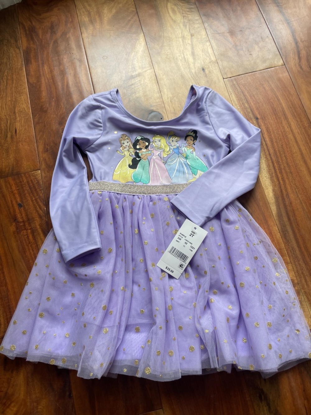 Disney Lilac Princess Tulle Dress with Gold Accents girls 2t NWT